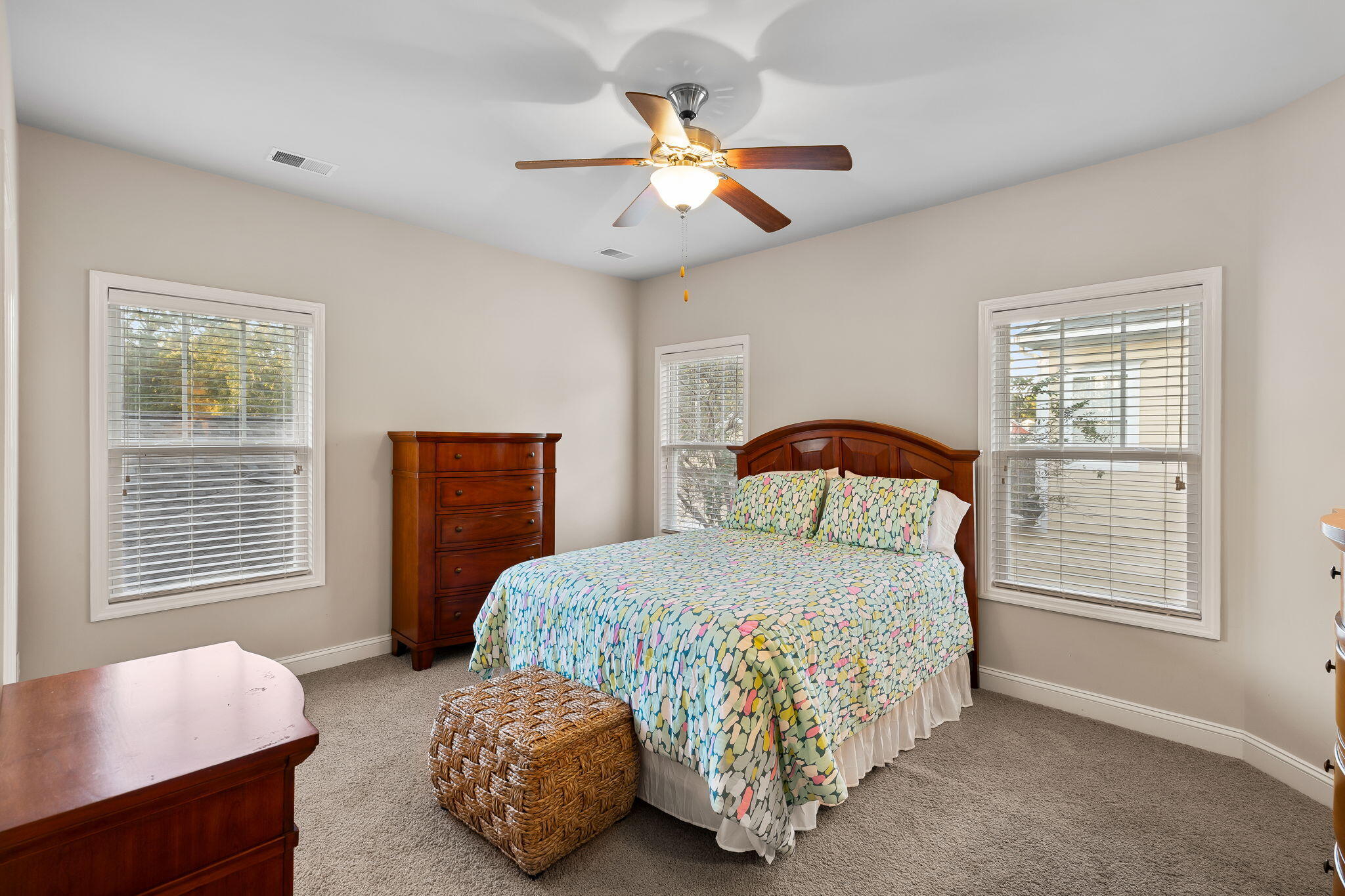 207 Branch Creek Trail, Summerville
