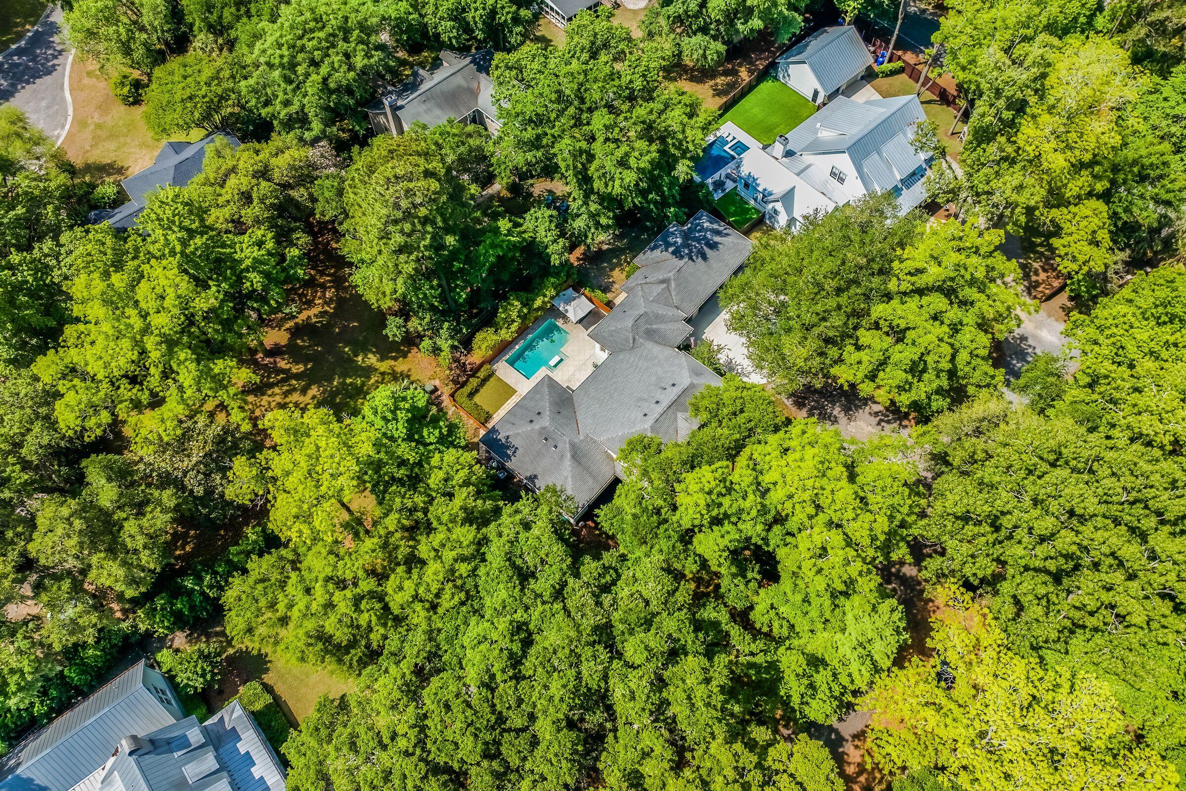 371 Live Palmetto