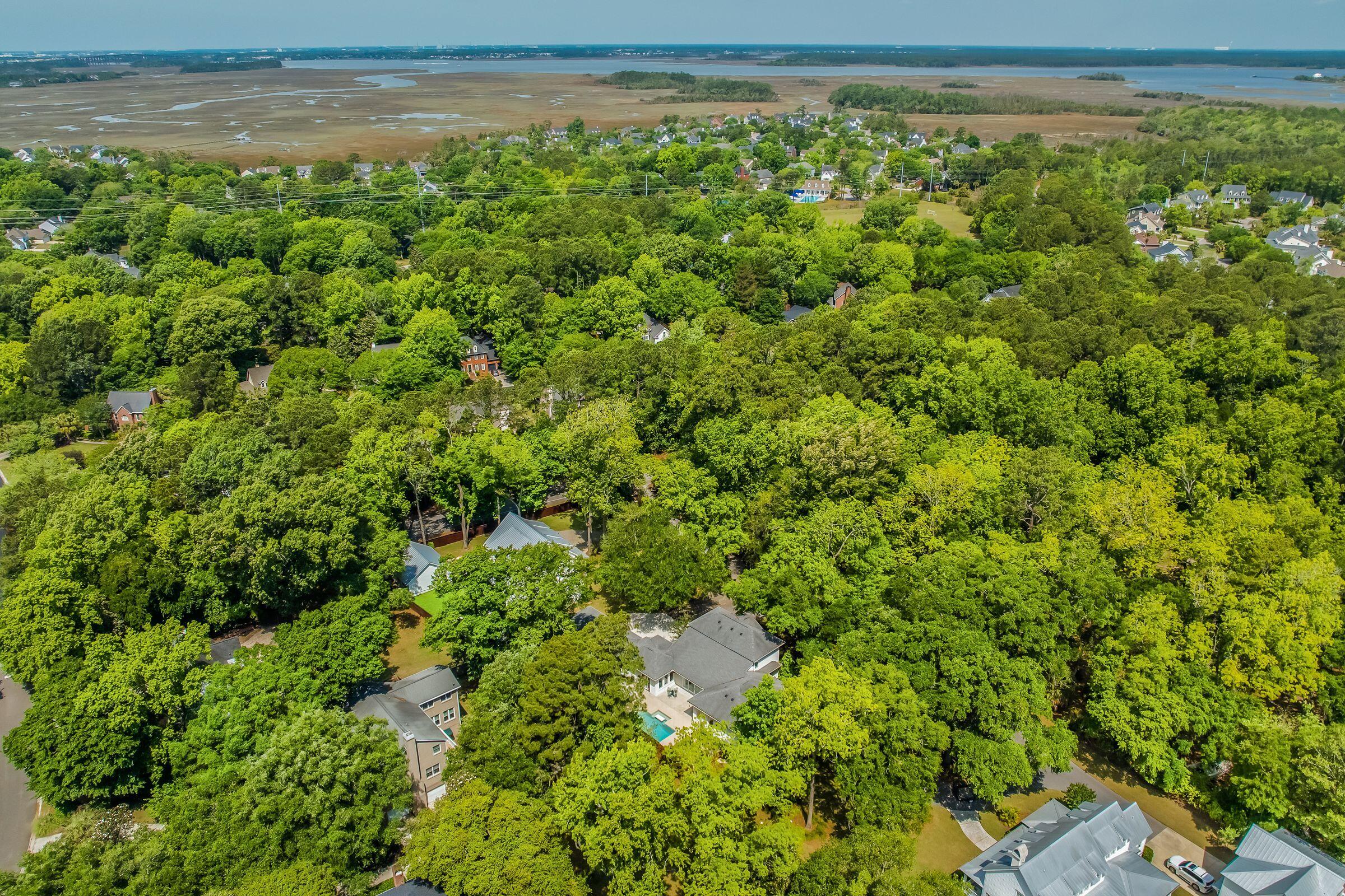 371 Live Palmetto