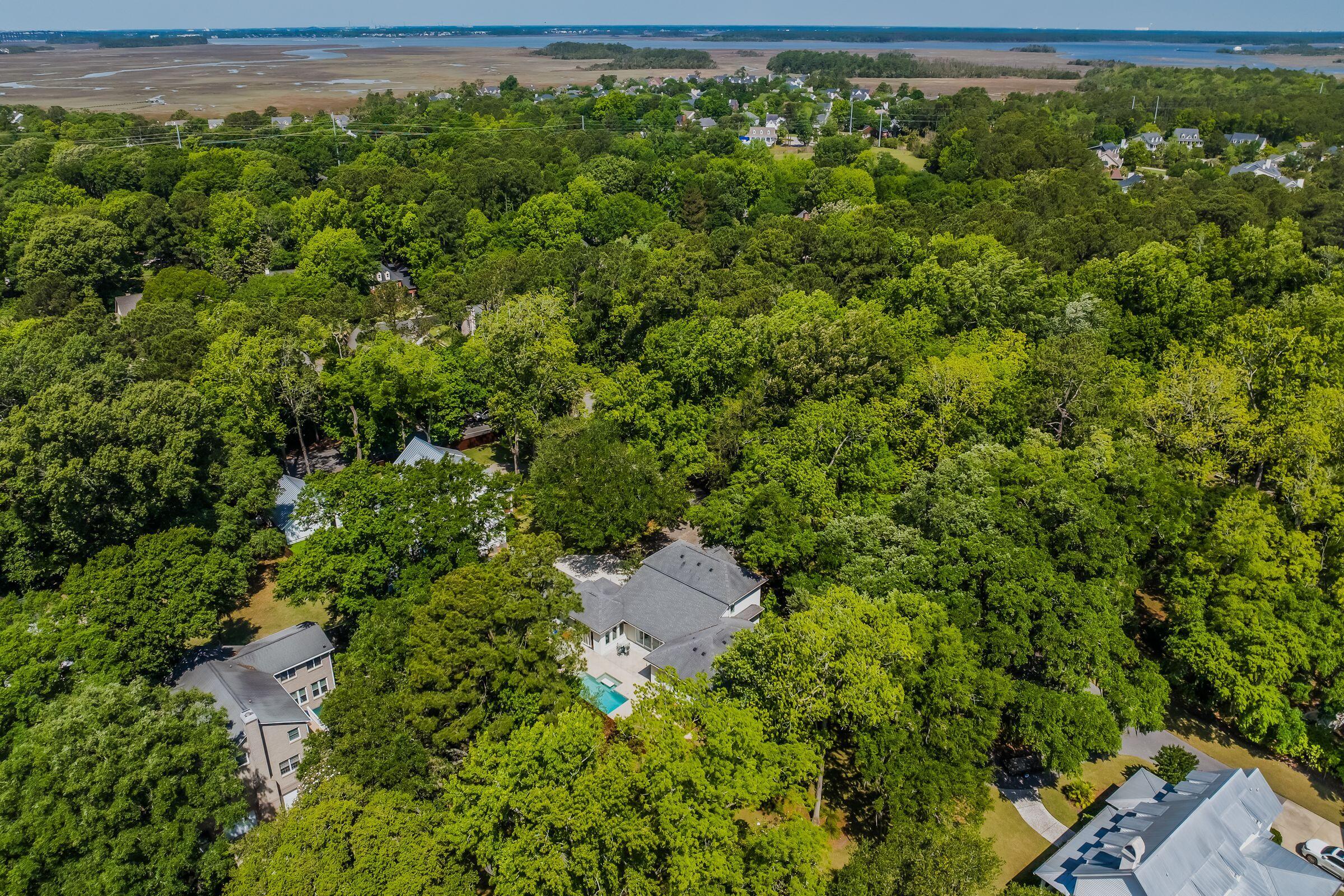 371 Live Palmetto