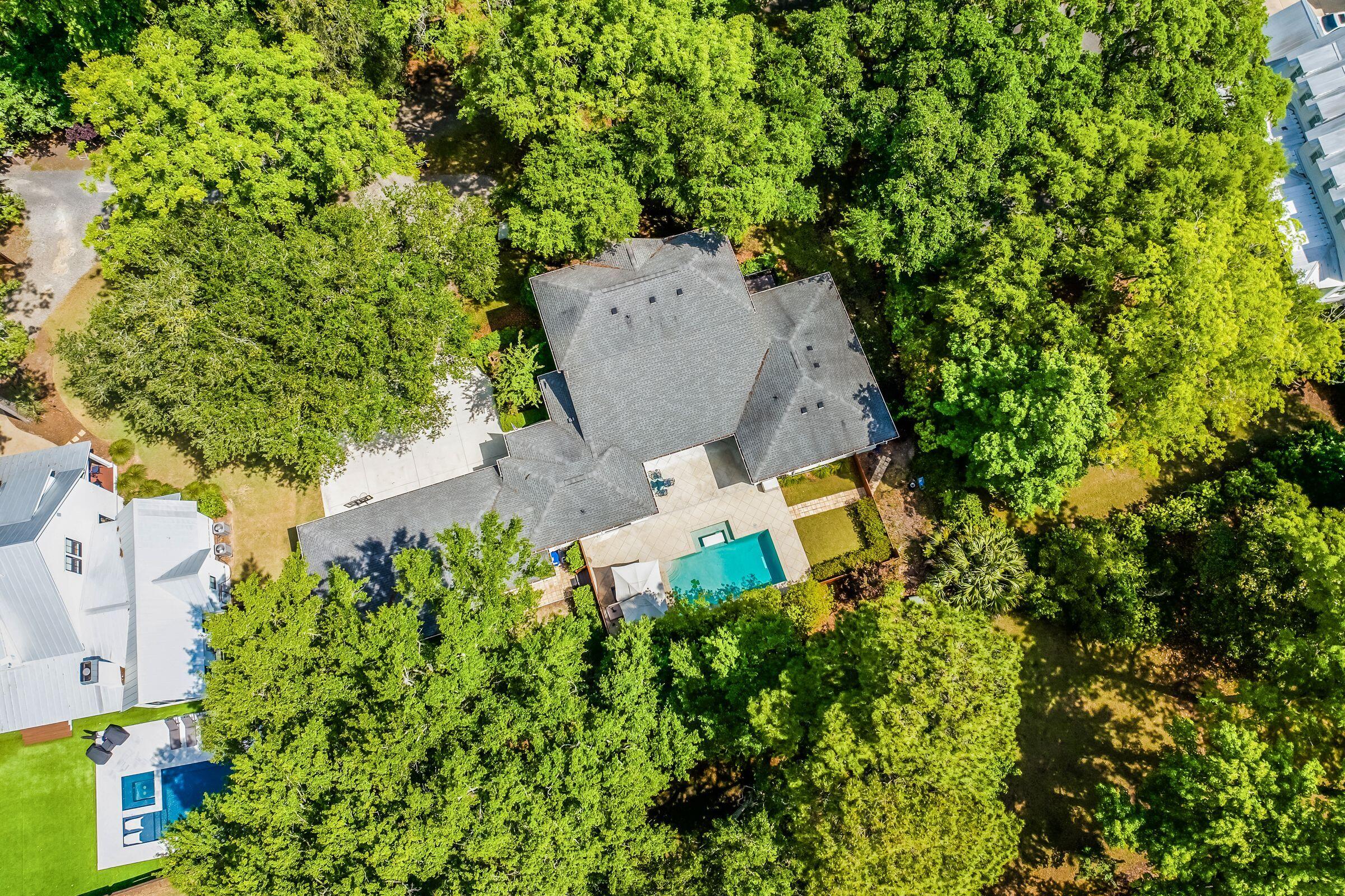 371 Live Palmetto