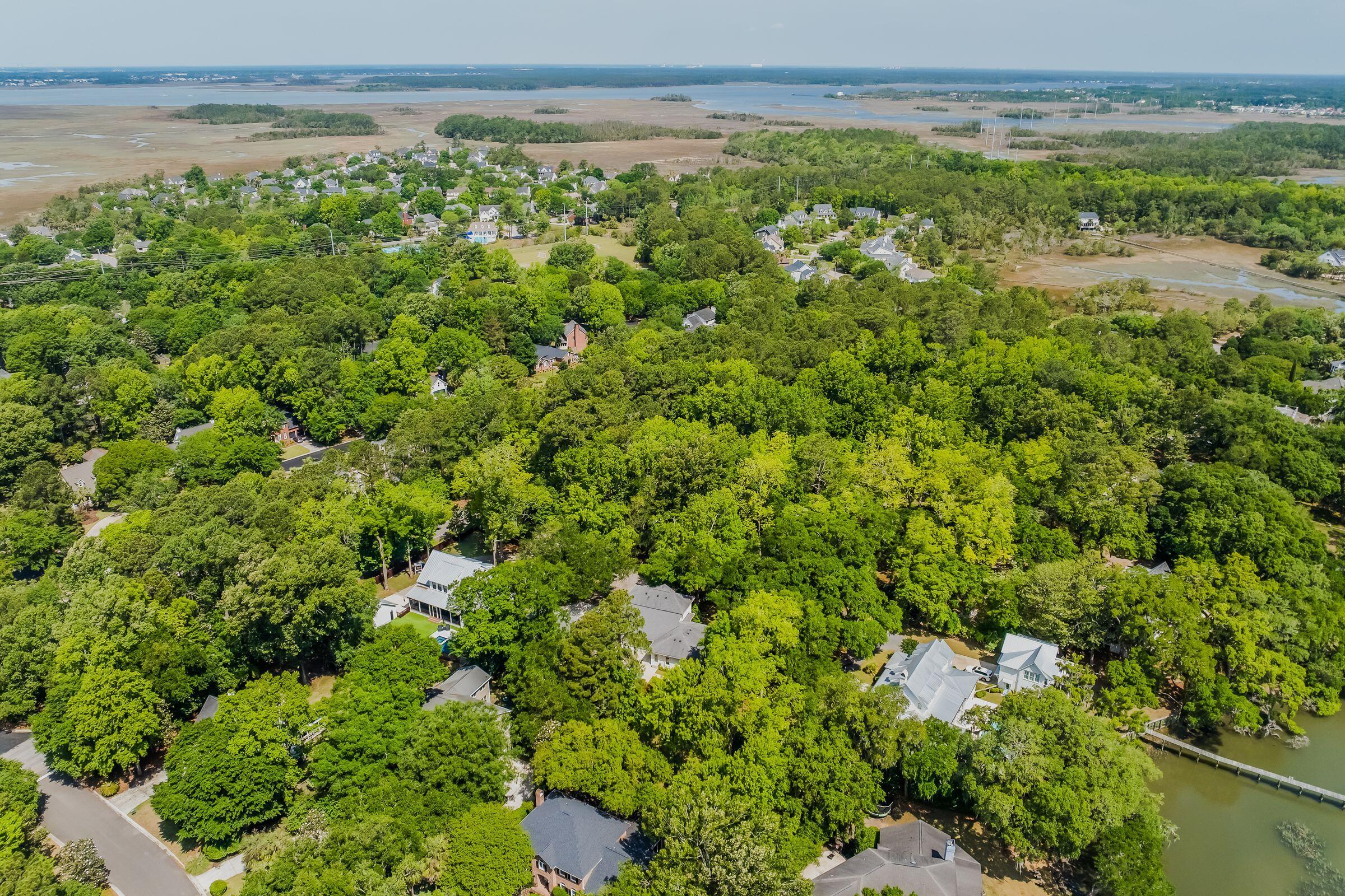 371 Live Palmetto