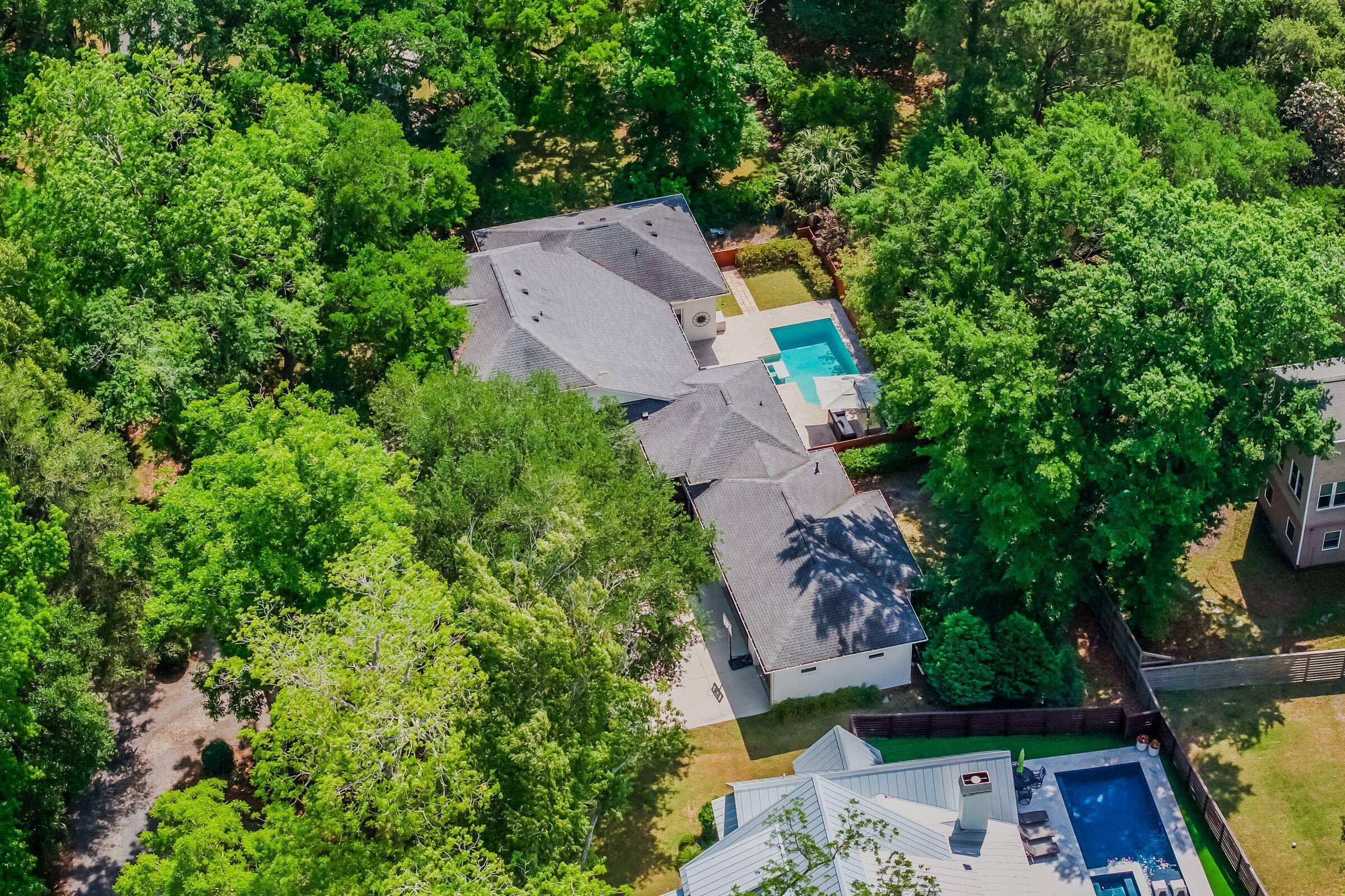 371 Live Palmetto