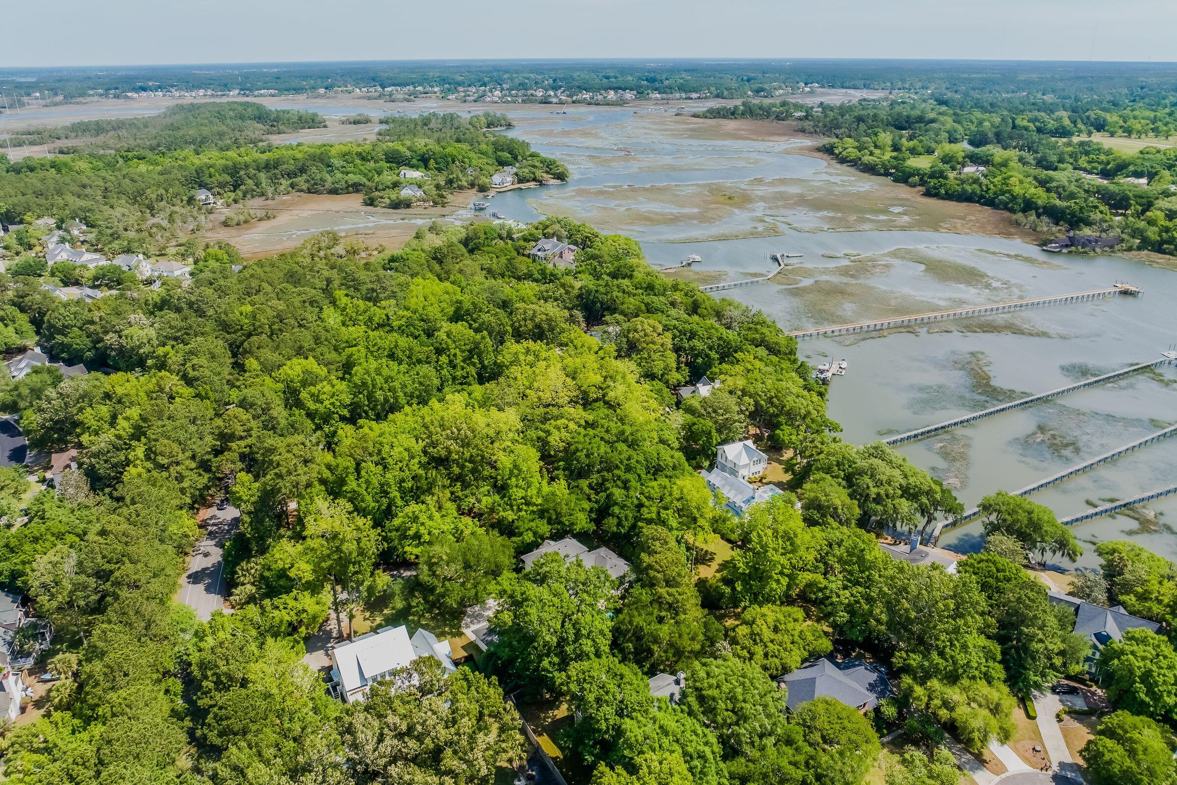 371 Live Palmetto