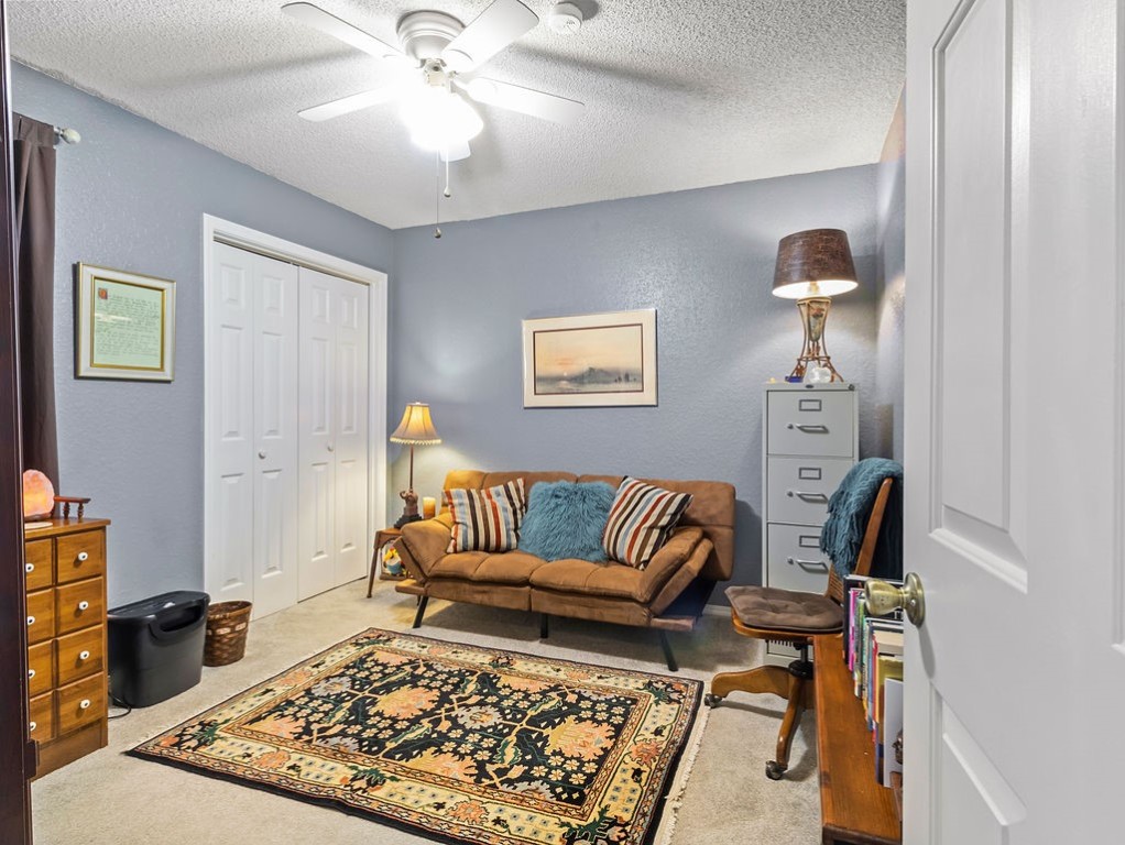 Furnished den with a brown sofa, blue walls, patterned rug, and filing cabinet.