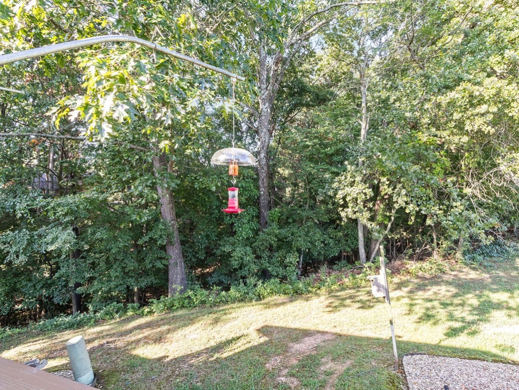 Wooded backyard with a grassy slope and hanging hummingbird feeder.
