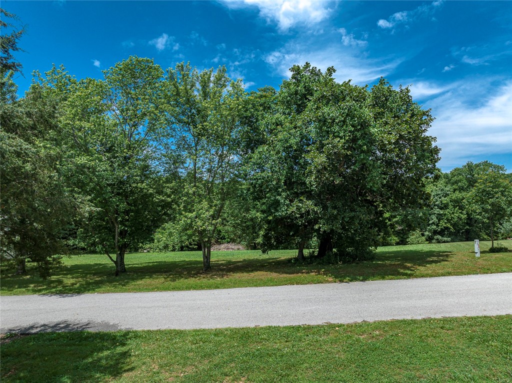 Quail Drive