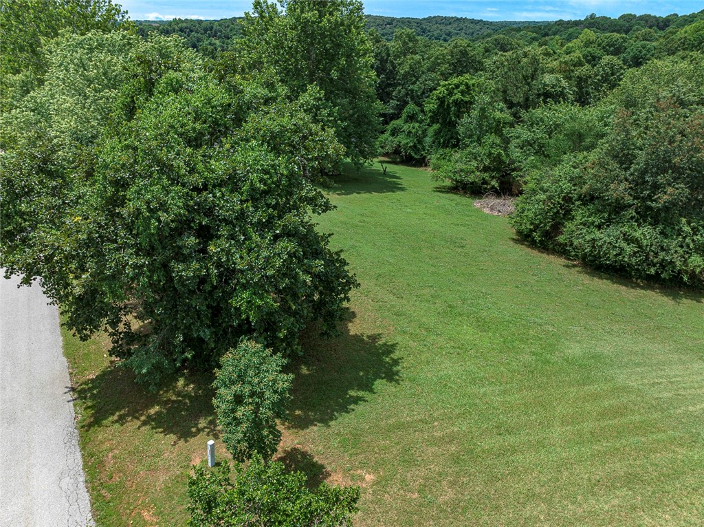 Quail Drive