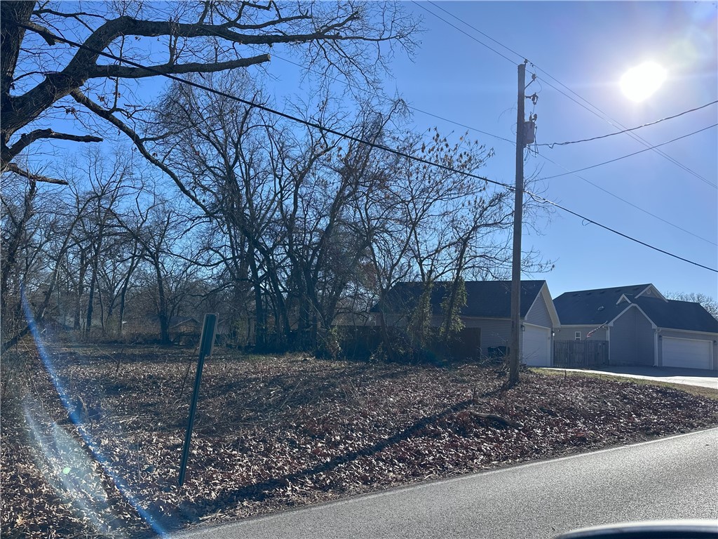Vacant, leaf-covered lot with mature bare trees beside a road and neighboring houses.