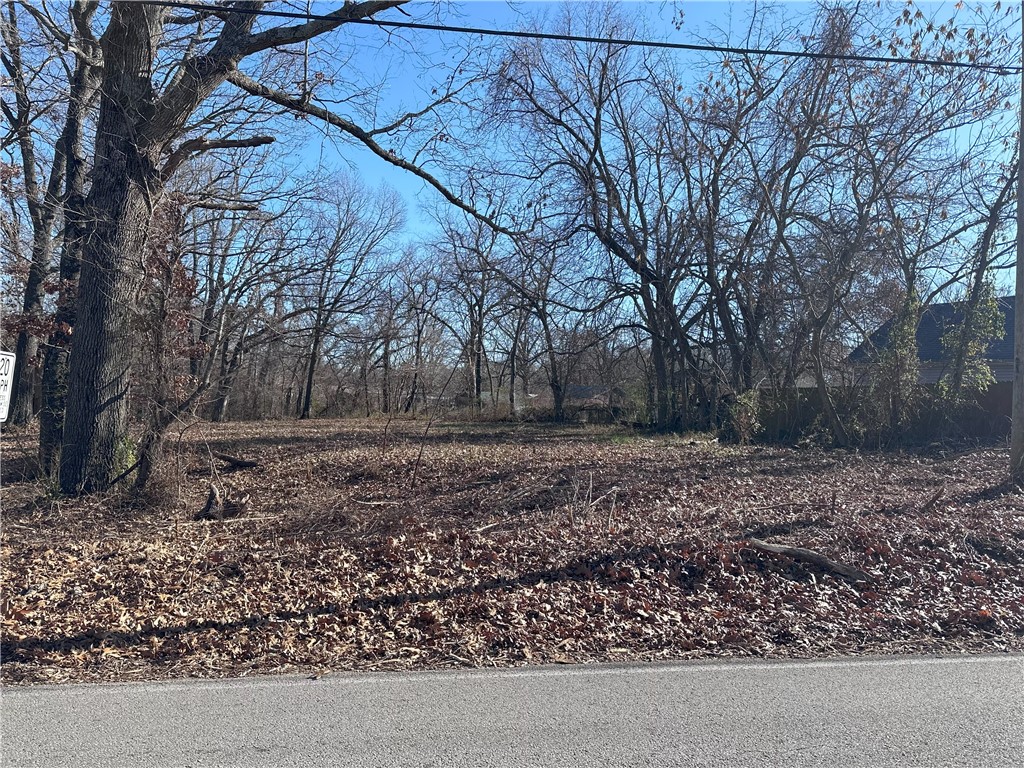 Wooded vacant lot beside a paved road, with mature leafless trees and fallen leaves.