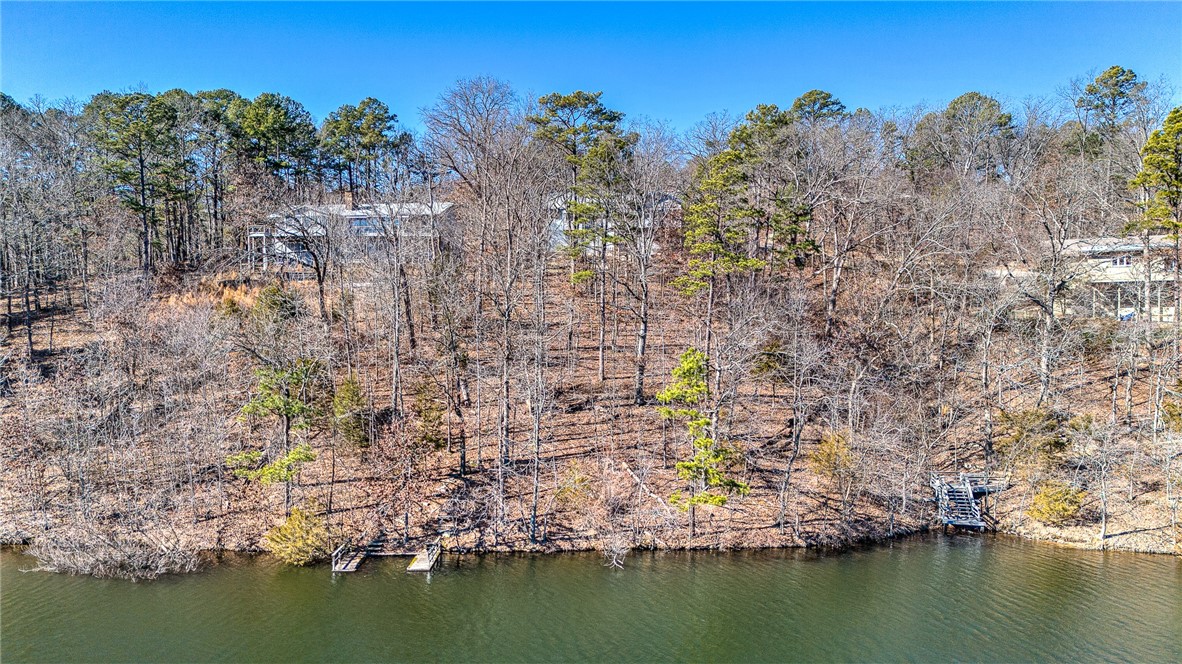 Aerial view of a wooded lakeshore with two homes and small docks along the water.