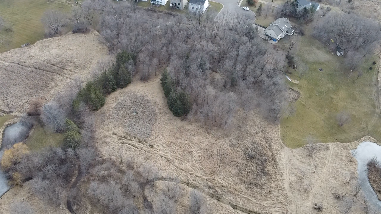6699 Bridle Path