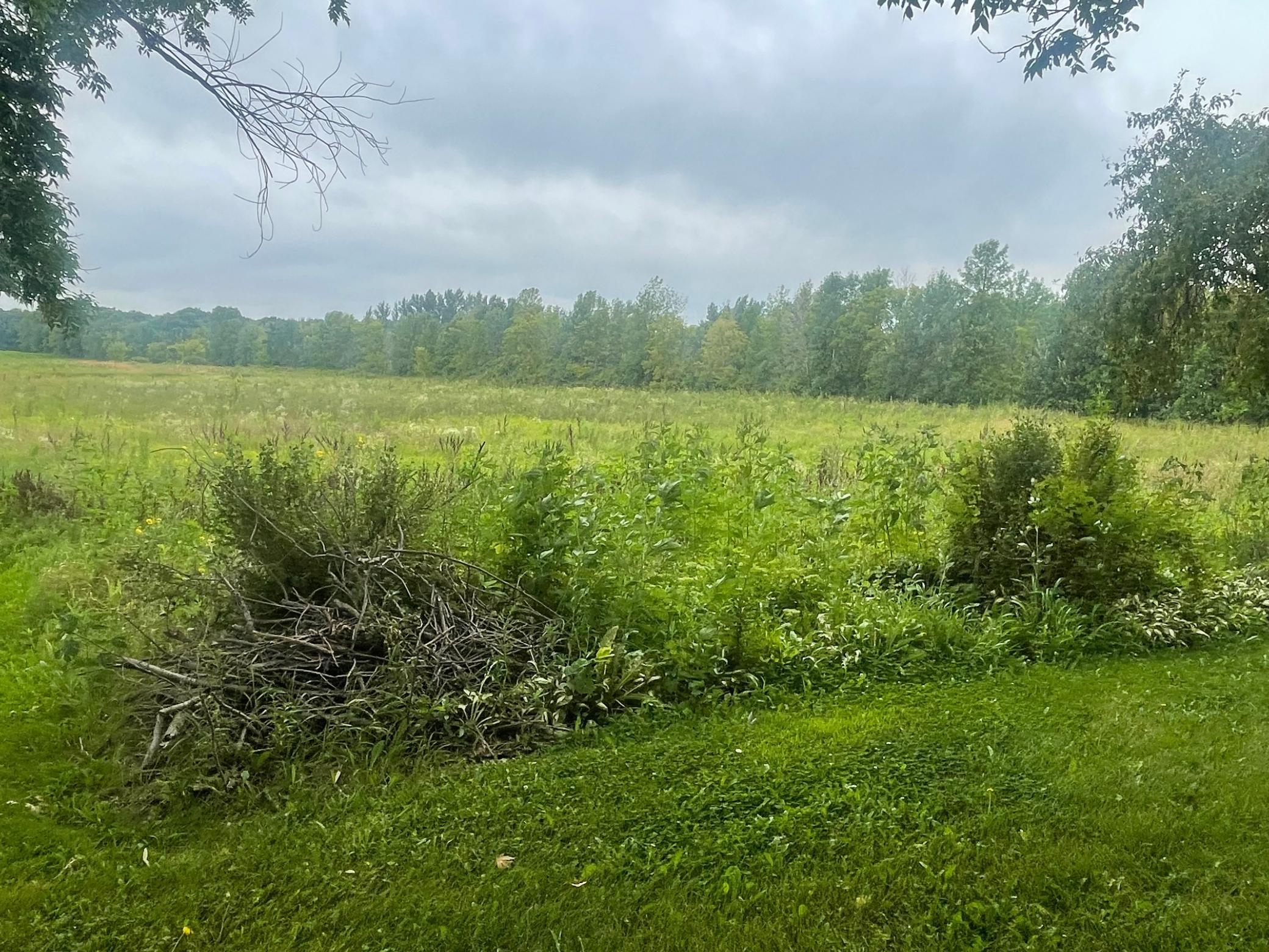22625 County Road 10