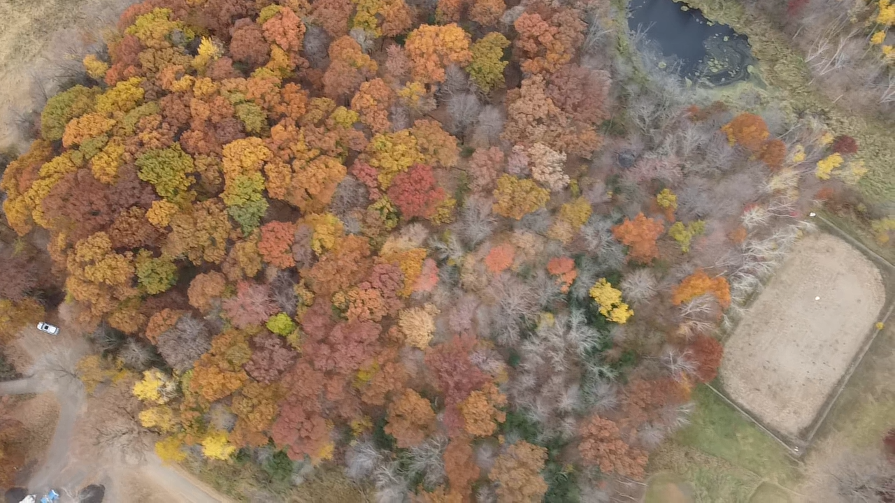 B1/L2 Baker Avenue NW