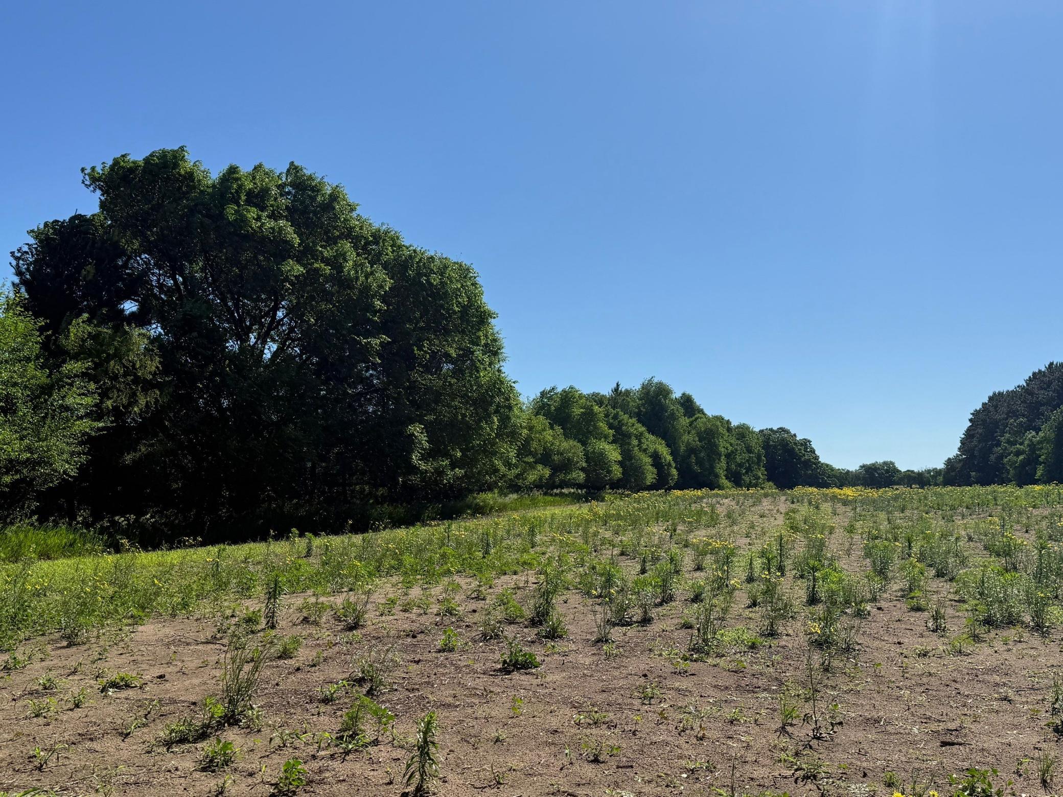 Lot 1 Block 1 87th Street SE