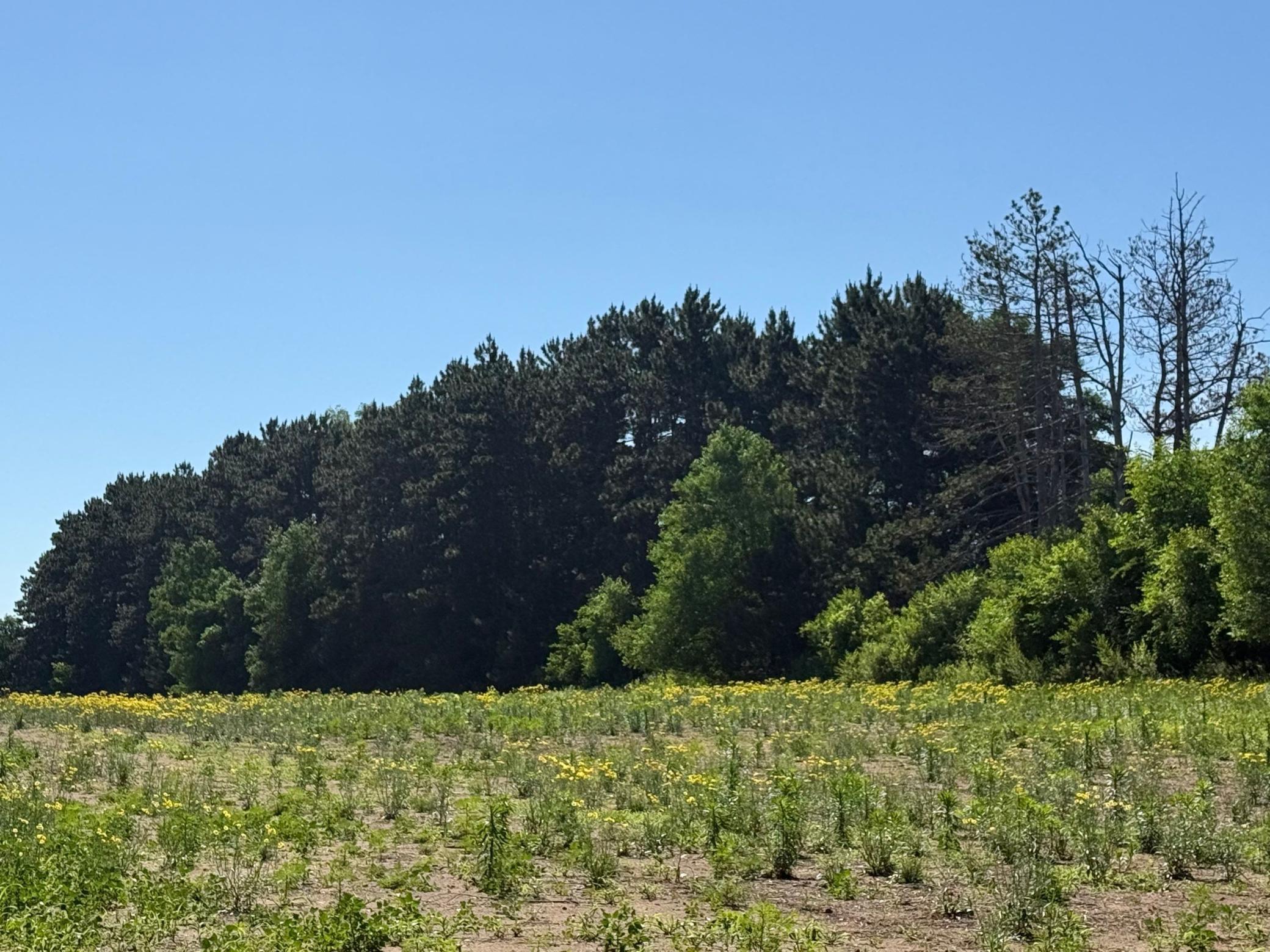 Lot 1 Block 1 87th Street SE