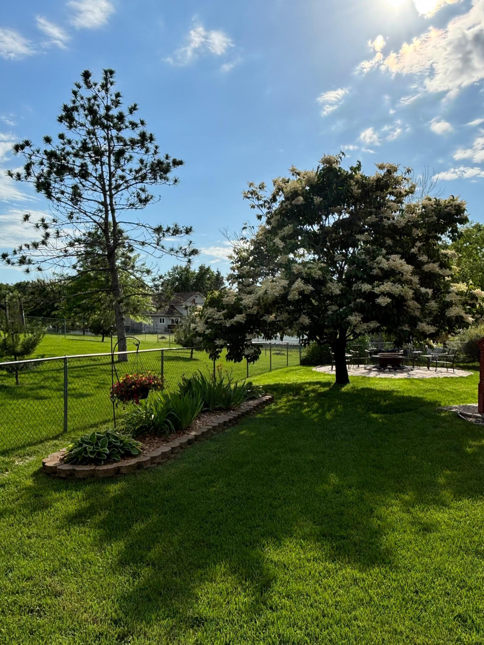 15672 Crocus Court W