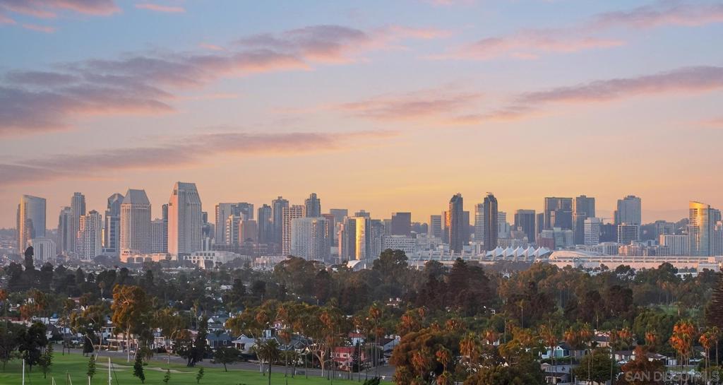 1810 Avenida Del Mundo 1503