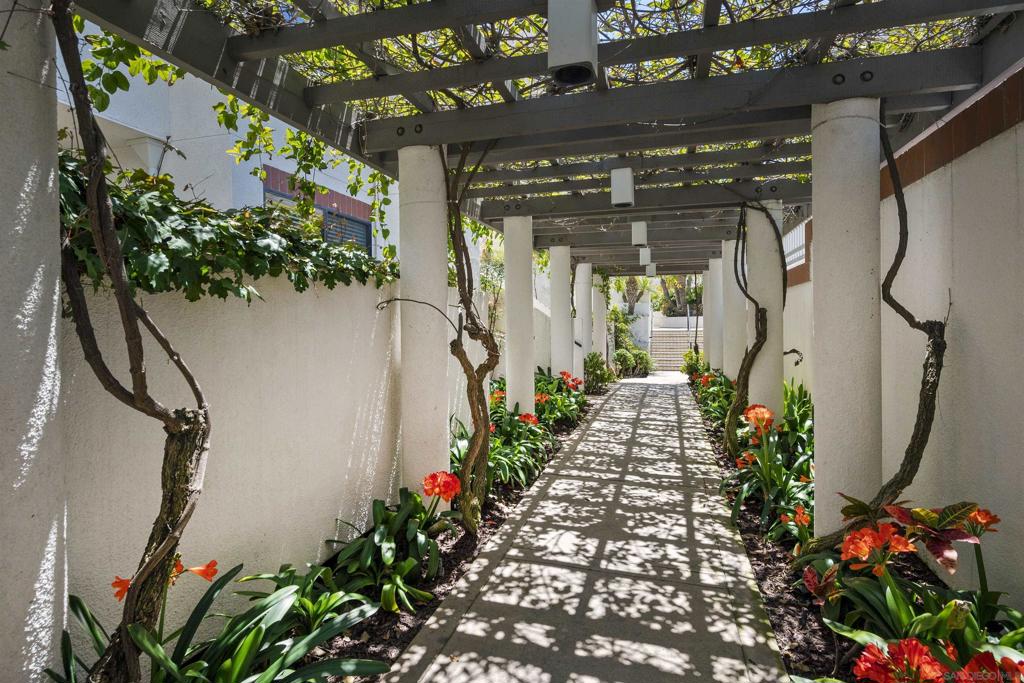 701 Kettner 103
