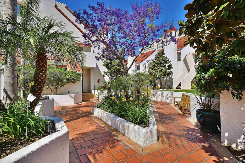 701 Kettner 103