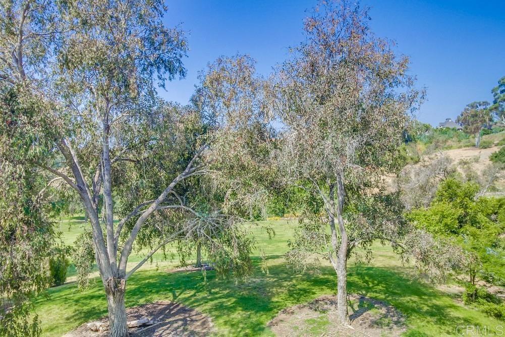 1824 Via Las Palmas 10