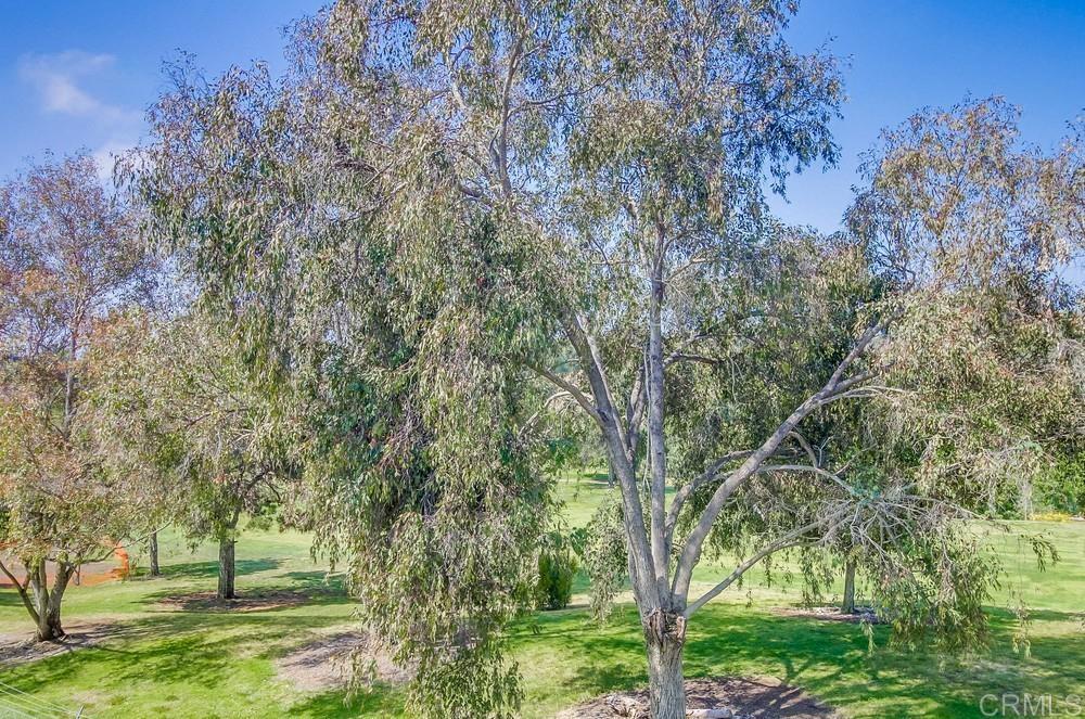 1824 Via Las Palmas 10