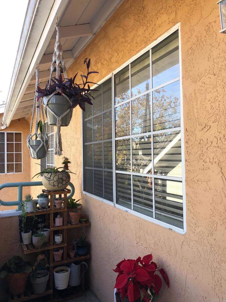 3922 Albatross Street 4