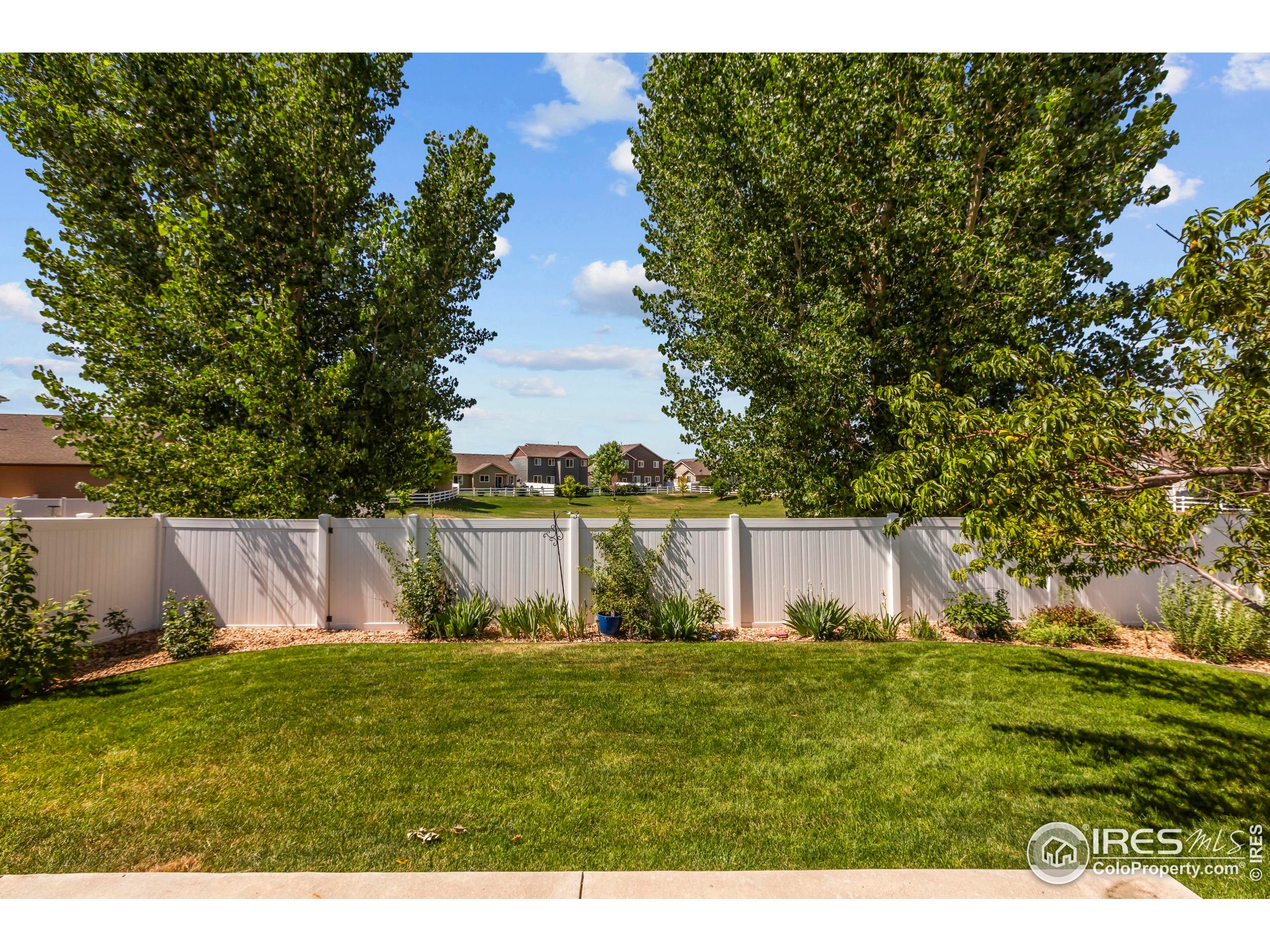 2968 Hydra Dr