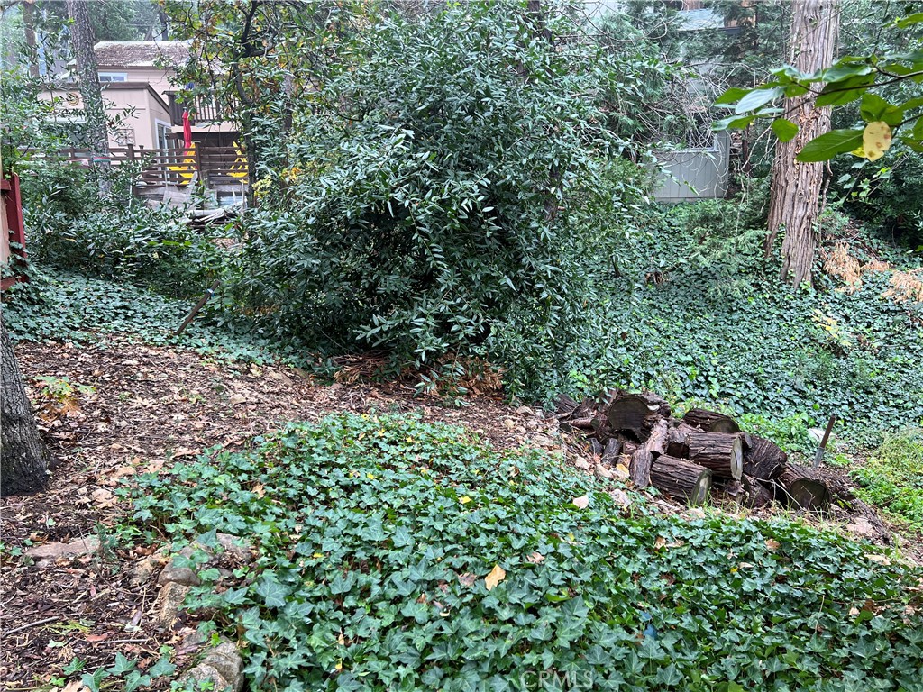 754 Seeley Flat aka Hwy 138 Road