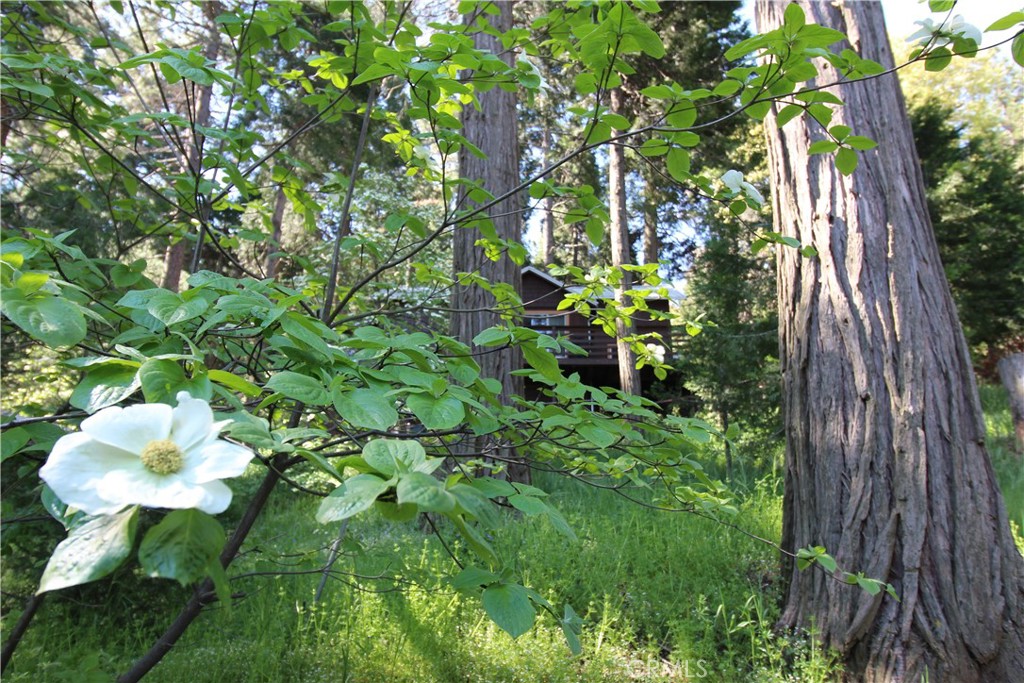 21683 Ballenger Road