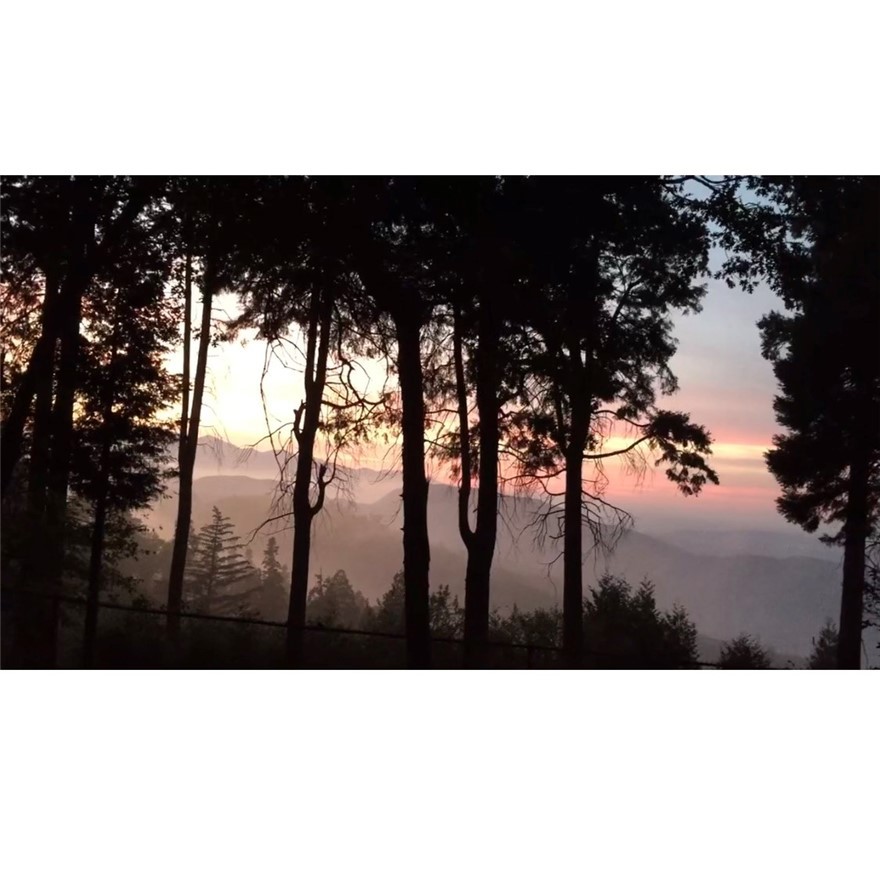 21683 Ballenger Road