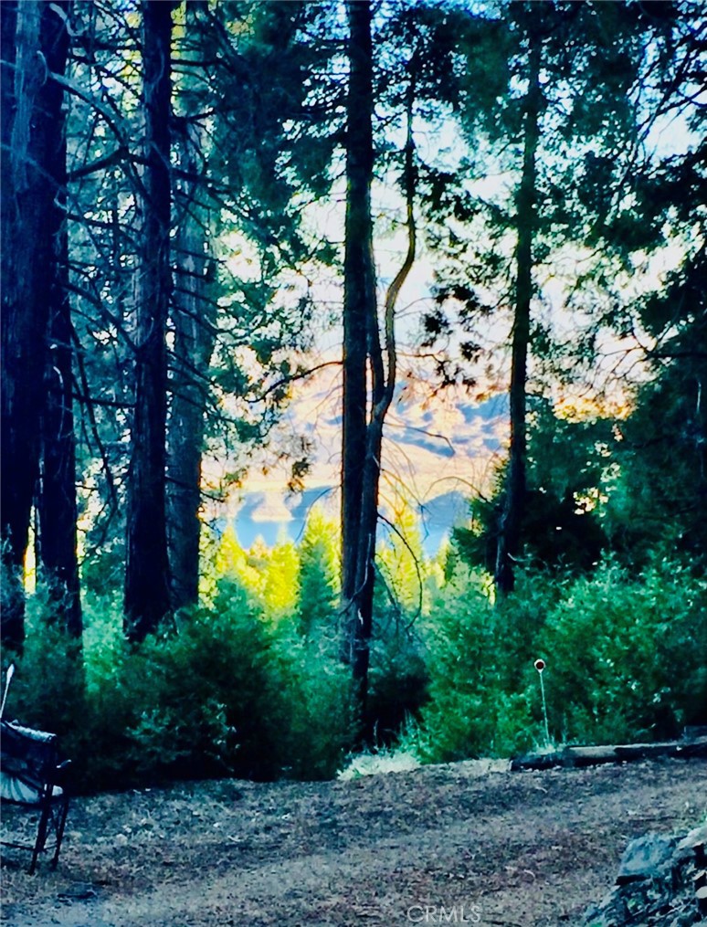 21683 Ballenger Road