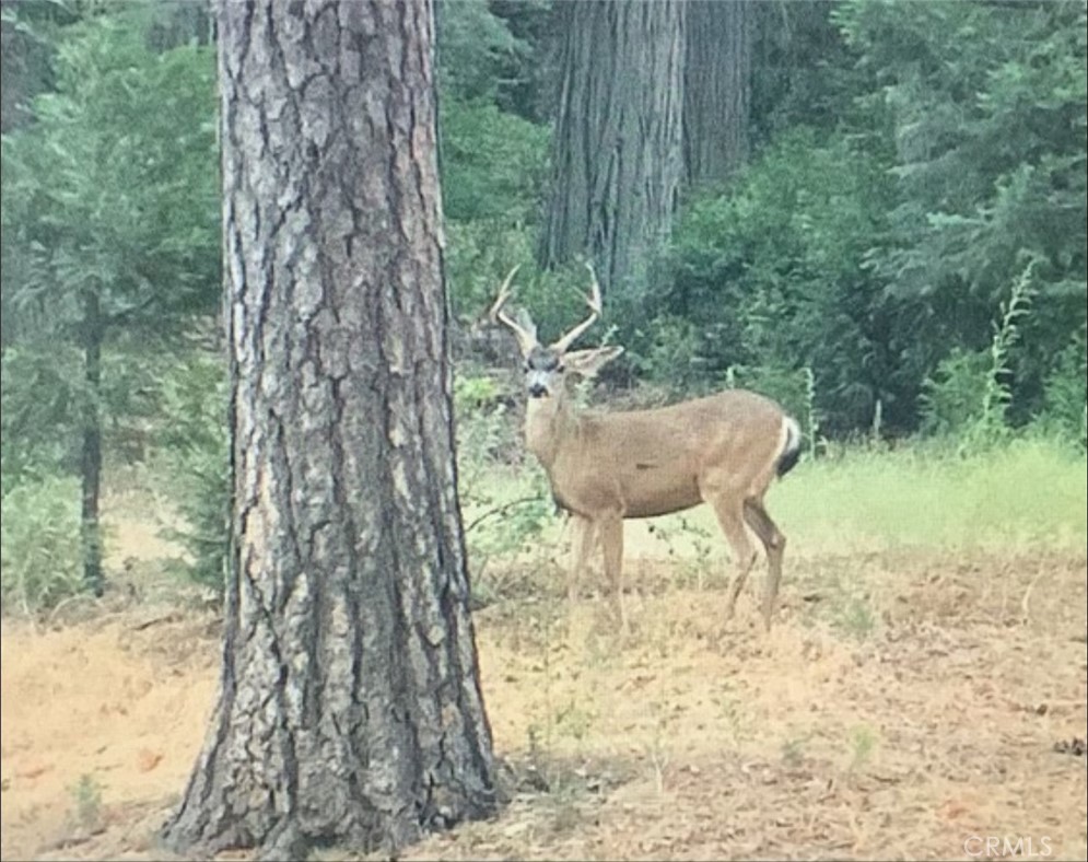 21683 Ballenger Road