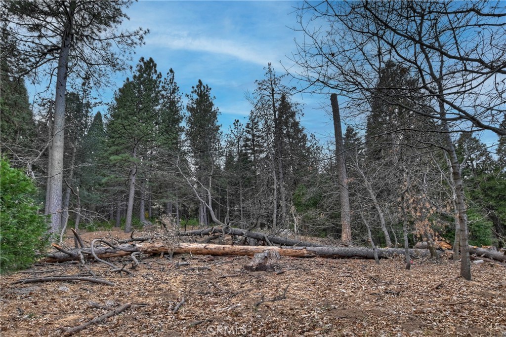 466 Willow Witch Road