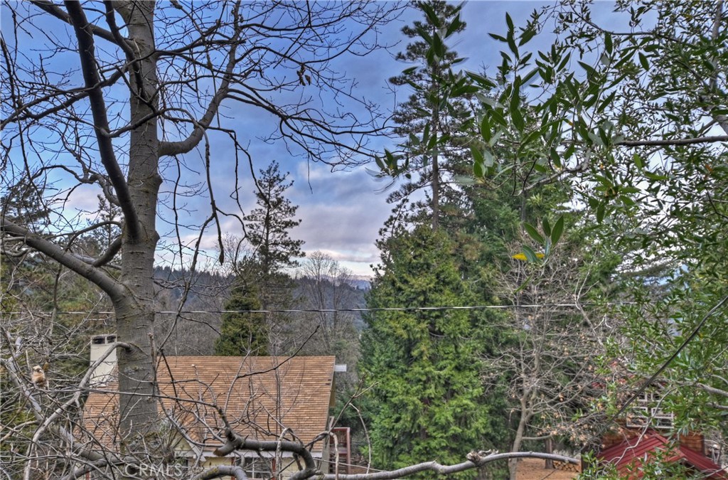 466 Willow Witch Road