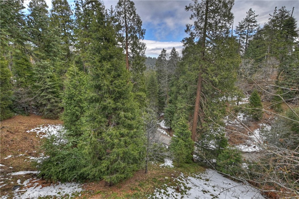 22002 Crest Forest Drive