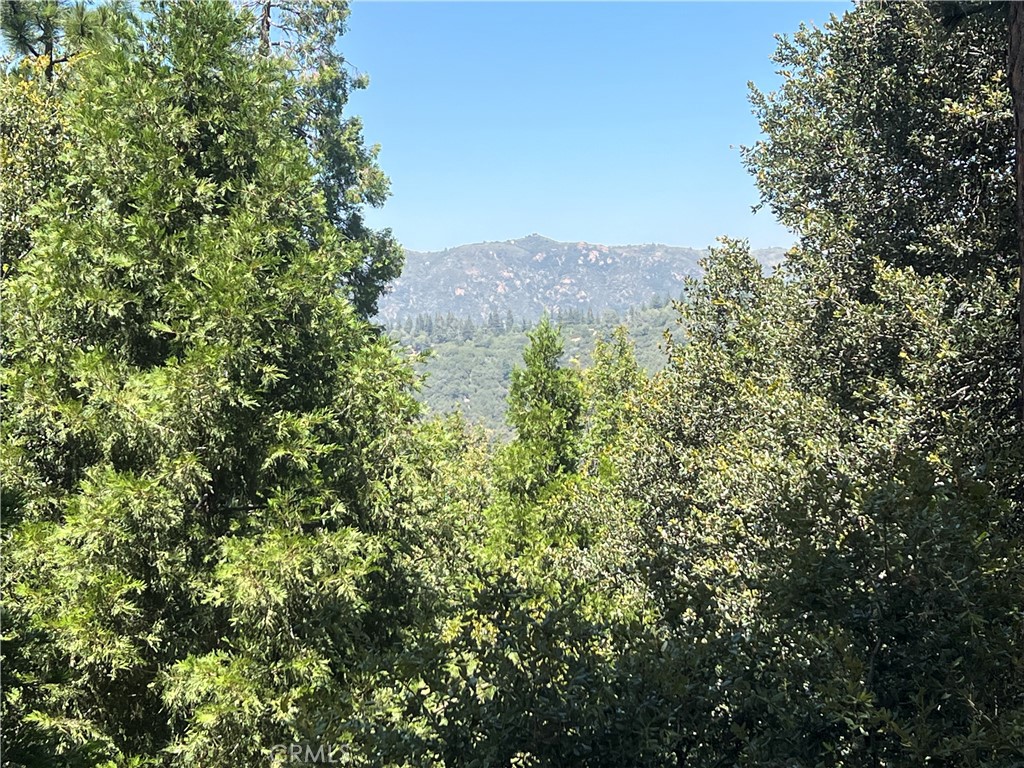 385 Wylerhorn Drive
