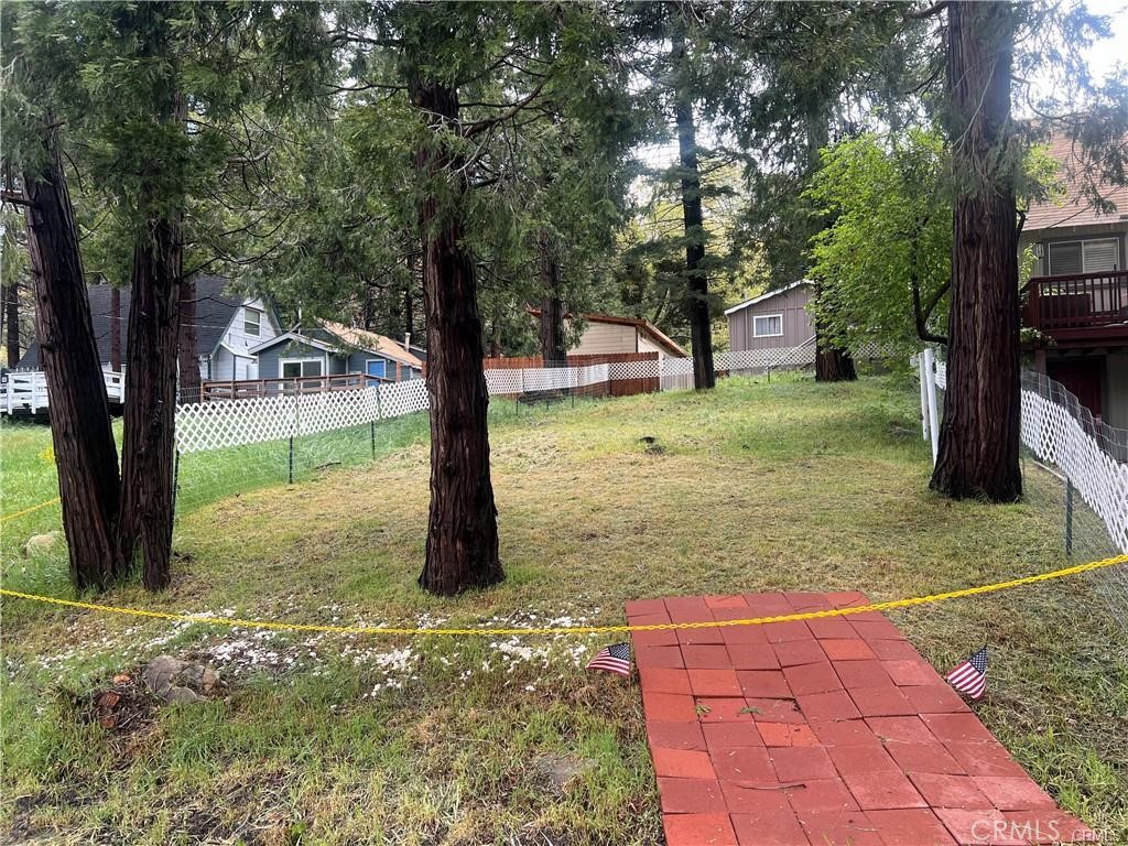 491 Pine Drive