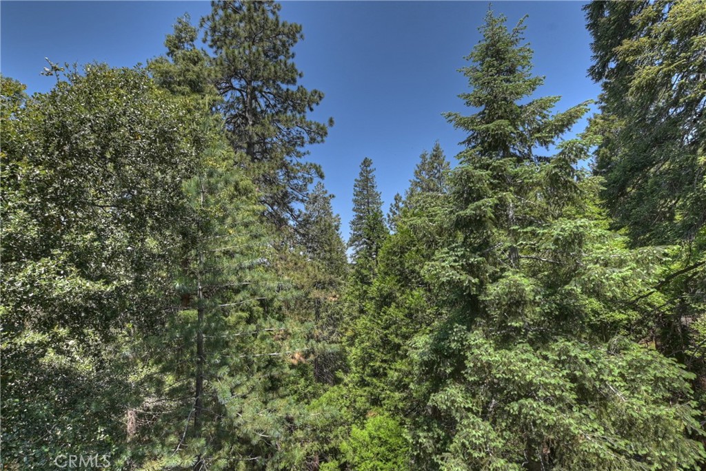 1100 Arbula Drive