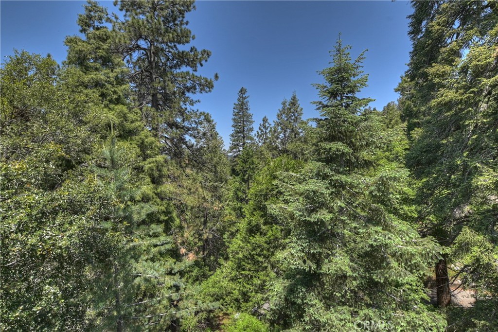 1100 Arbula Drive