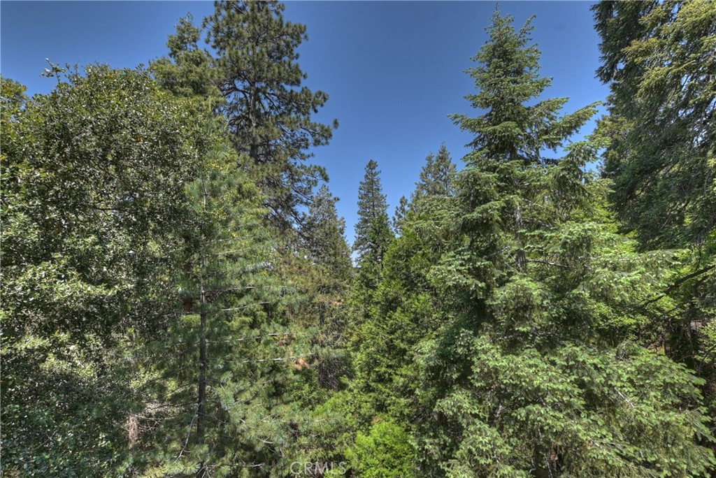 1100 Arbula Drive