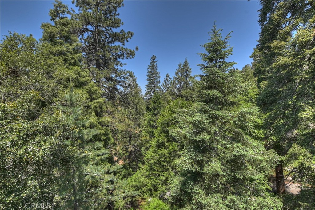 1100 Arbula Drive