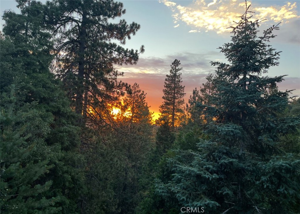 1100 Arbula Drive