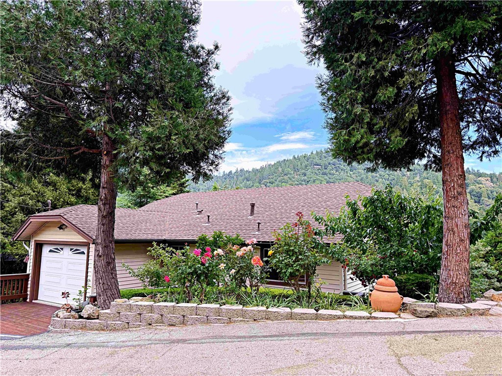 489 Dorn Drive