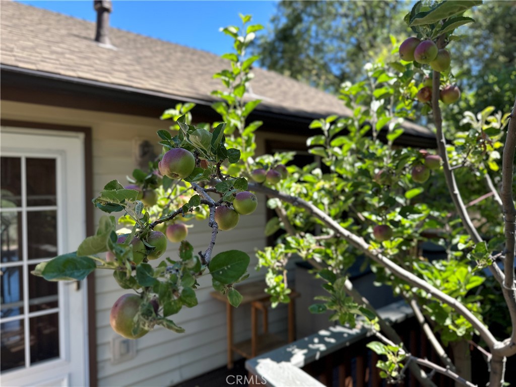 489 Dorn Drive
