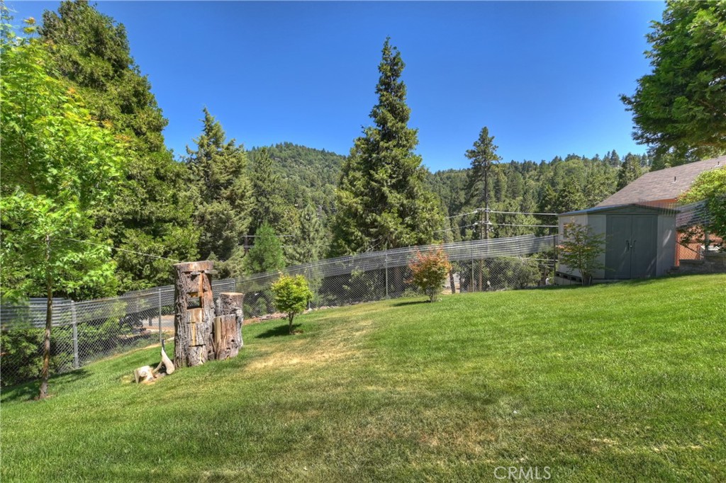 489 Dorn Drive