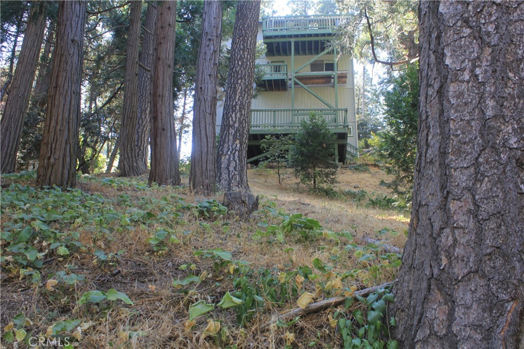 23933 Cresta Drive
