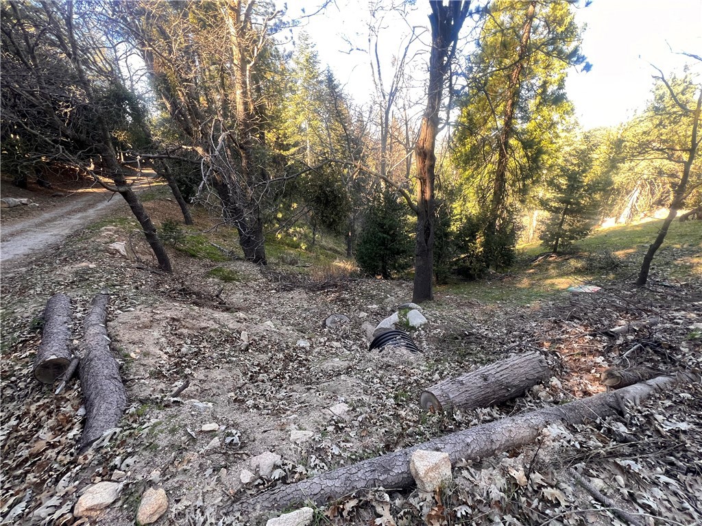 24989 Highland