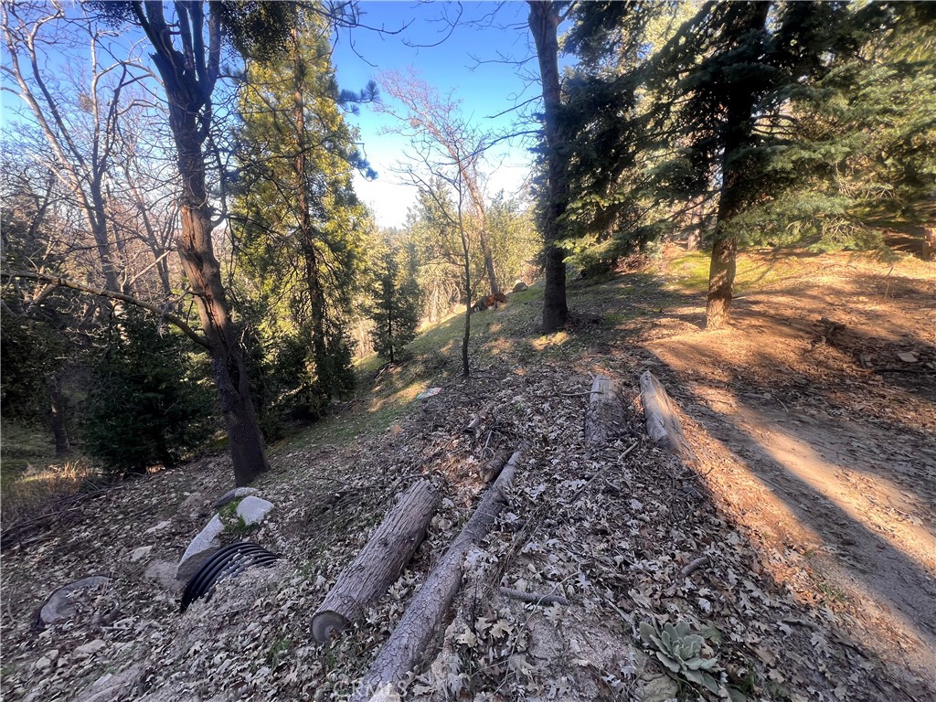 24989 Highland