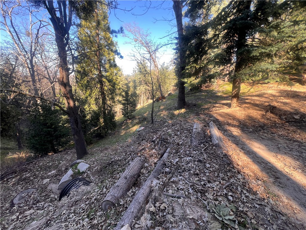 24989 Highland